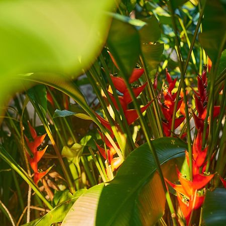 Villa Agua Y Fuego Тулум Екстериор снимка